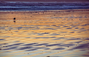 Sunrise at the beach