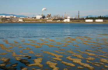 Refinery at Low Tide