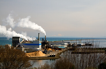 Paper Mill and Mountain