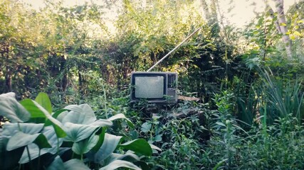 Old 80s CRT TV in the on the Woods With Video Noise Effect.