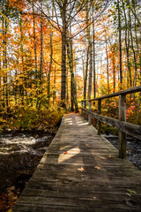 Fototapeta na wymiar Fascinating autumn landscape with a small stormy river in the forest and a wooden pedestrian bridge across it in Vermont
