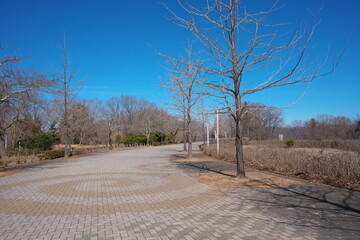 　昼間の静寂な公園