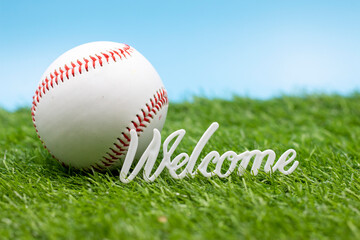 Baseball with Welcome sign for Party on green grass 