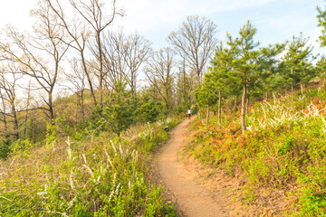 계족산성 트레킹
