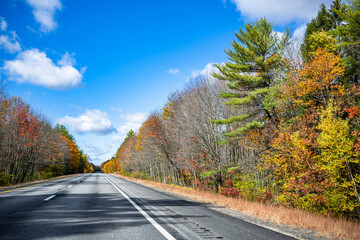 One-way highway landscape with scenic yellowed autumn maple trees on the sides in New Hampshire New...