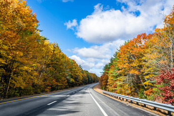 One-way highway with scenic yellowed autumn maple trees on the sides in New Hampshire in New England