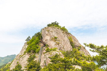 사량도 봄 풍경
