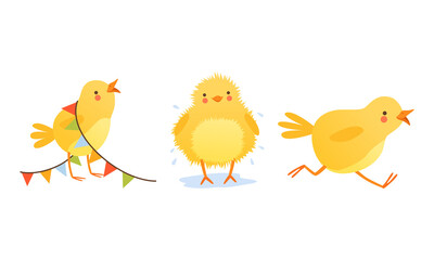 Adorable Chicken in Different Situations Set, Cute Funny Baby Bird Character Cartoon Vector Illustration