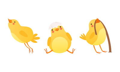 Funny Chicken in Different Situations Set, Cute Adorable Bird Character Cartoon Vector Illustration