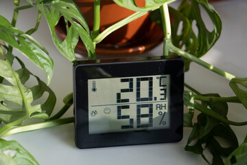 Healthy home. Thermometer and hygrometer. Air humidity measurement. Optimum humidity at home. Thermometer in the interior, among houseplants - obrazy, fototapety, plakaty