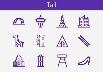 Premium set of tall line icons. Simple tall icon pack. Stroke vector illustration on a white background. Modern outline style icons collection of Free fall, Stool, Ladder