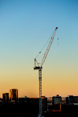 Crane at sunset