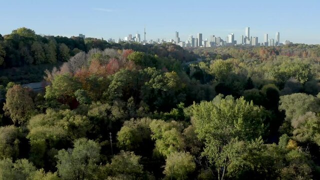 Drone tilts from treeline to Toronto Cityscape in Canada. Aerial view of Toronto from the DVP