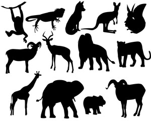 Set of silhouettes of wild animals, zoo. Lion, Elephant, Baby elephant, Jaguar, Kangaroo, Antelope, Giraffe, Monkey, squirrel, Fox, ibex, iguana Vector, isolated on white background
