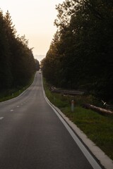 Obraz premium street in the forest at sunset