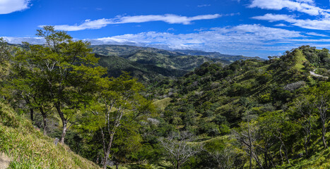 beautiful rainforest in costa rica south america.