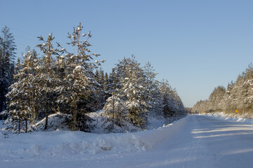 Nature Reserve of Russia, Arkhangelsk region Golubino.