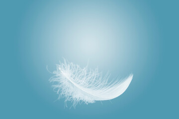 Soft and light single white feather floating in the sky.