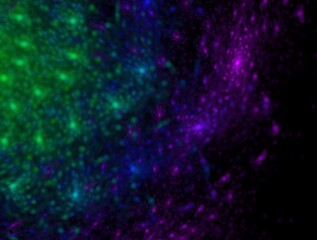 Obraz premium Imaginatory fractal background Image