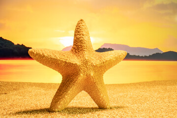 Fototapeta na wymiar Sunset Starfish on the beach