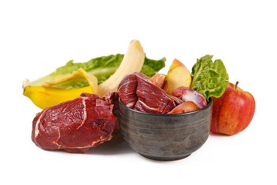 Dog bowl filled with biologically appropriate raw food containing meat chunks, fruits and vegetables surrounded by ingredients on white background