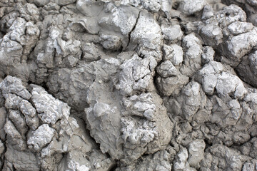 The texture of gray cracked earth, dried volcanic clay with cracks. Ultimate Gray. Natural background, copyspace