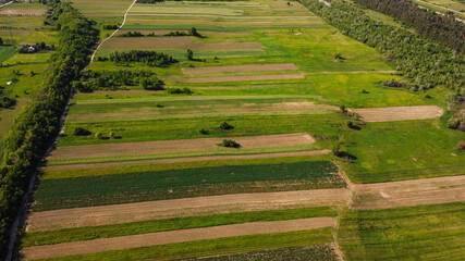 Aerial view of an agricultural cultivated sown field in the countryside