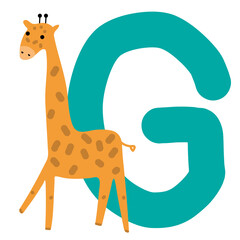 Capital letter G of English alphabet with cute cartoon Giraffe. Funny font for kindergarten and preschool education. Hand-drawn vector illustration on white background
