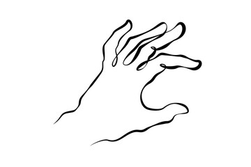 Wrist. Palm gesture. Different position of the fingers.