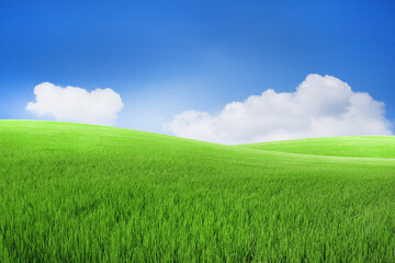 Green meadows with blue sky and clouds background.