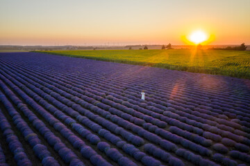 Obraz premium Aerial view of a woman in a white dress, among blooming lavender field at sunset