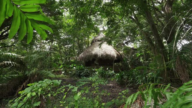 A hut with a thatched roof in a rainforest. Eco Hotel in the wild nature. Best place for meditation and retreat	