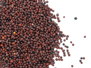 Dry mustard black seeds isolted on the white background