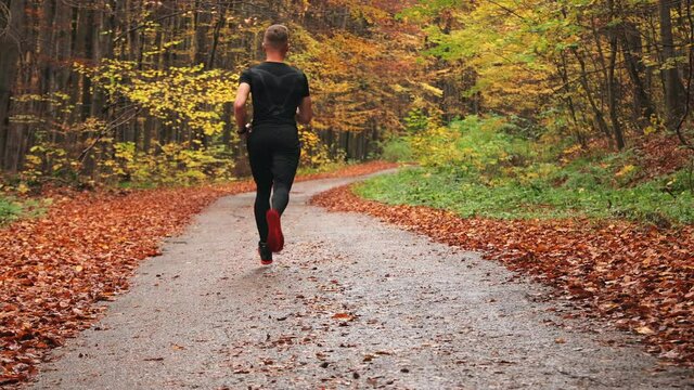 The athlete is running along a forest road. Running training in autumn forest. Shooting from behind. 4K.