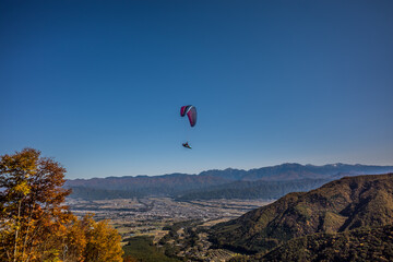 紅葉の山を飛ぶパラグライダー　長野県伊那市