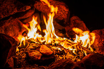 Night close up of chichen stake coocing on burning branch over fire in fireplace