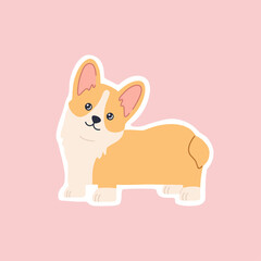 Kawaii breed corgi standing sticker, funny little dog, cute smiling face. Adorable friendly puppy character. Hand drawn trendy modern illustration in flat cartoon style, isolated on pink background.
