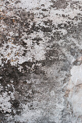Old concrete wall texture for background with copy space.