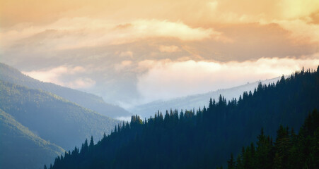 Naklejka na ściany i meble Bright Carpathian landscape in the morning light. After a thunderstorm. Rising fog.