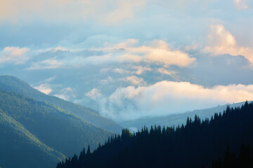 Plakat Bright Carpathian landscape in the morning light. After a thunderstorm. Rising fog.