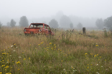 Old broken car in a meadow among the grass. Foggy rural landscape. Scenic view of an old abandoned car and trees in the fog. Misty morning in the countryside. Deserted area and a feeling of loneliness