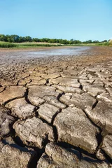 Tuinposter Cracked soil on riverbank of dried waterless river in summer drought © Alexey Slyusarenko