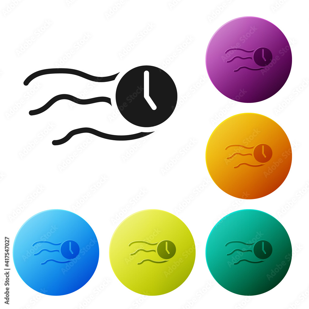 Poster black time flies on the clock icon isolated on white background. set icons in color circle buttons. 