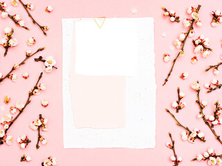 Minimalist spring mockup. Blank greeting card on pink background with blossoming branches. Feminine still life composition. Template of spring postcard. Blossoming tree branch and space for text.