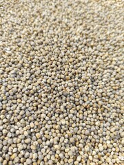 pebble stone background