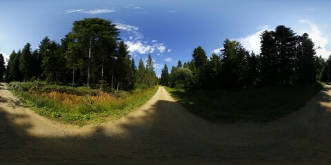 Gravel Road in the forest HDRI Panorama