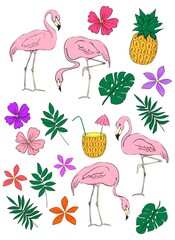 Flamingos, pineapple, tropical flowers and leaves. Set of vector clipart elements. Colored stickers.