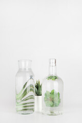 plants in pots distorted through water in bottle on white background. Home decor, eco friendly, relax, gardening concept. copy space