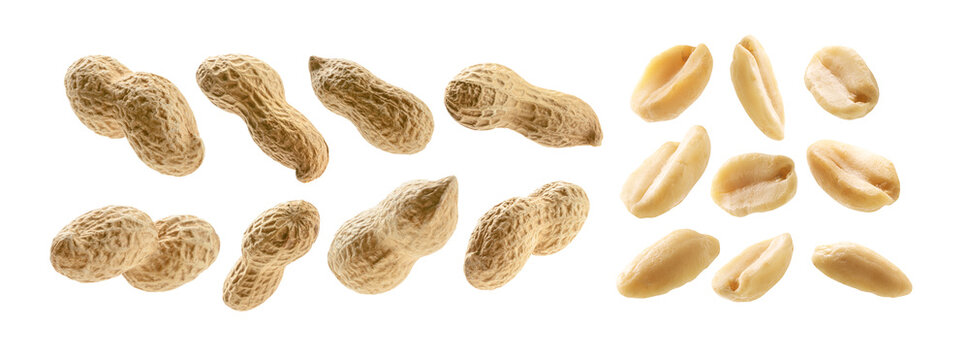 A set of peanuts. Isolated on a white background