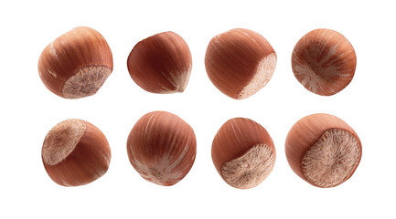 A set of ripe hazelnuts. Isolated on a white background